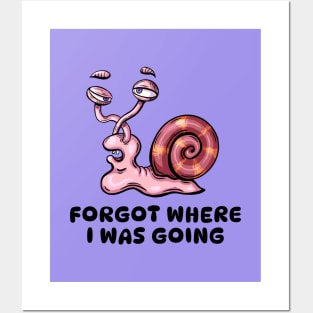 Slow And Forgetful Snail Posters and Art